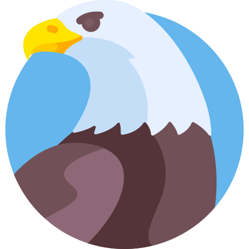 الأمانة للشحن ونقل العفش