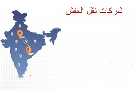 افضل خدمات مميزة في نقل العفش في جازان